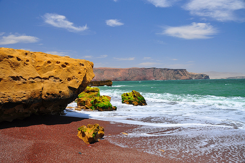 Paracas National Reservation